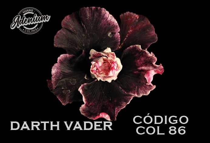 COL/86 DARTH VADER PREMIUM